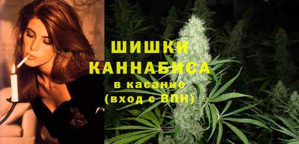 винт Арсеньев