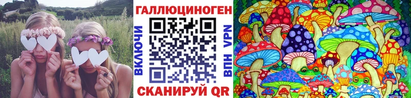 Псилоцибиновые грибы мицелий  наркота  Верхняя Пышма 